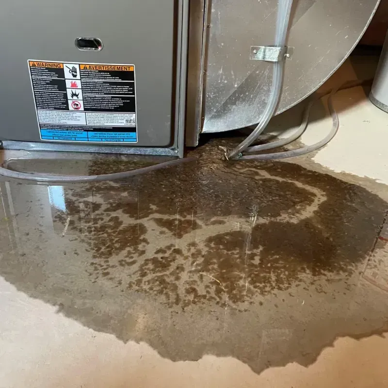 Appliance Leak Cleanup in Panhandle, TX